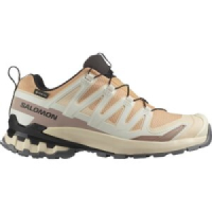 Damen Trailrunningschuhe SHOES XA PRO 3D V9 GTX W Hzlnut/Tender/B