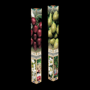 Aldi Nord Gardenline GARDENLINE Obstbaum