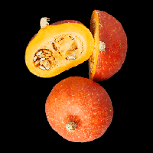 Bio-Speisekürbis Hokkaido