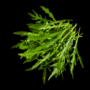 Aldi Nord  Rucola