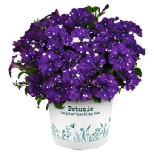 GARDENLINE Petunien