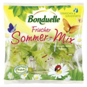 Bonduelle Sommer-Mix