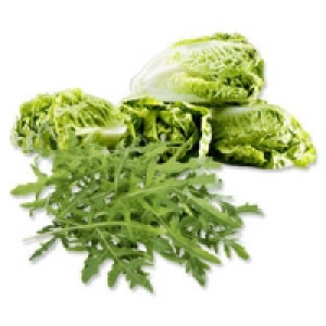 Deutschland Rucola Salat oder Salatherzen