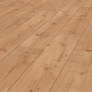 Bauhaus  Laminat Pinie