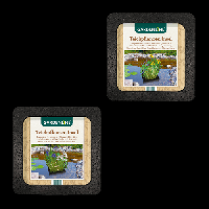 Aldi Nord Gardenline GARDENLINE Teichpflanzen-Insel
