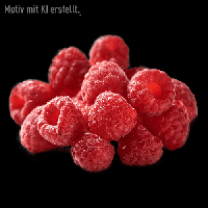 Aldi Nord  Himbeeren