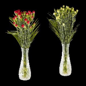 GARDENLINE Spraynelken
