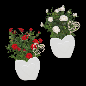 GARDENLINE Rosen in Herzkeramik