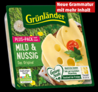 GRÜNLÄNDER Scheiben