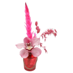 GARDENLINE Cymbidium in Glasvase