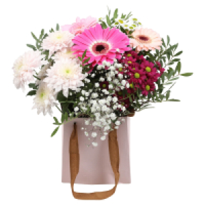 GARDENLINE Strauß in Geschenktasche