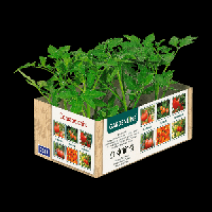 GARDENLINE Tomatenmix