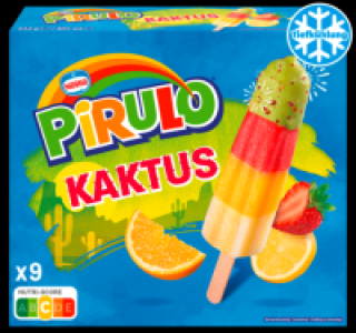 SCHÖLLER Eis Kaktus