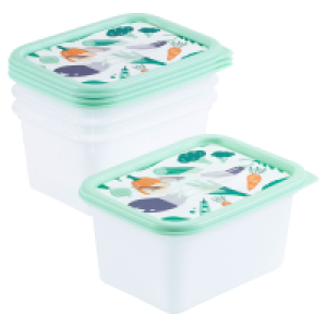 CROFTON Tiefkühldosen-Set