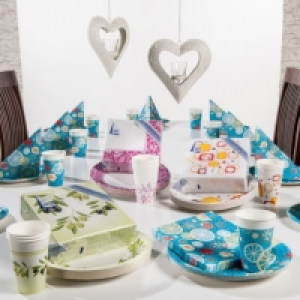 Pappgeschirr 1.49 €
