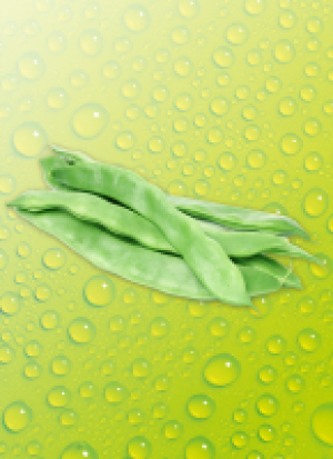 Ernte Krone Fresh Boh­nen Breit