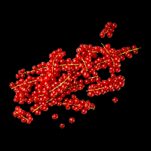 Aldi Nord  Johannisbeeren