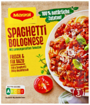 MAGGI Fix, Airfryer oder Würzpaste
