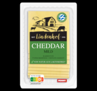 LINDENHOF Cheddar
