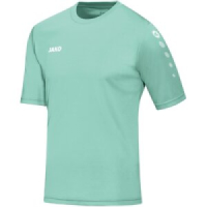 InterSport  Herren Trikot Team KA