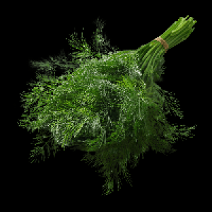 Aldi Nord  Dill