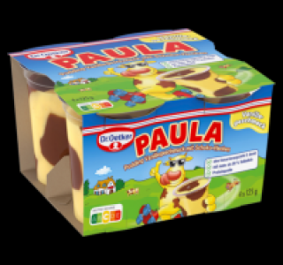 Penny  DR. OETKER Paula Pudding