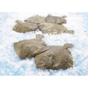 Steinbutt 10.99 €