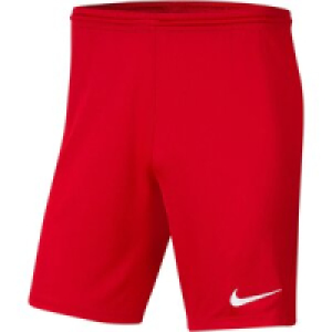 Herren Teamshorts Dri-FIT PARK III