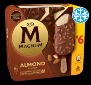 MAGNUM Stieleis
