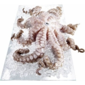 Pulpo 11.99 €