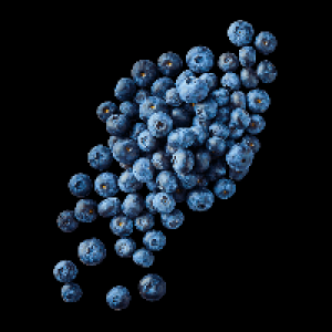 BIO Bio-Kulturheidelbeeren