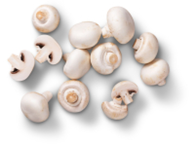 Poln./dtsch. Kulturchampignons, weiß