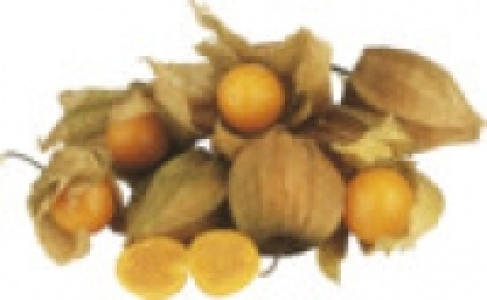 Physalis 0.99 €