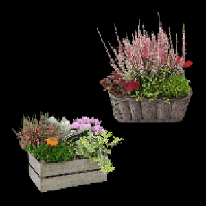 GARDENLINE Bepflanztes Holzgefäß