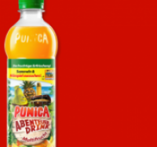 PUNICA Abenteuer-Drink 0.79 €