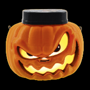 Aldi Nord  Halloween-Kürbis