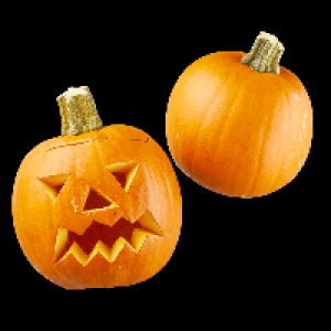 Speisekürbis Halloween
