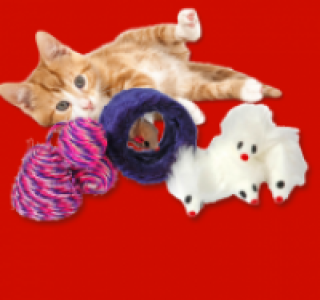 Spielzeug-Set f&uuml;r Katzen 5.99&nbsp;&euro;