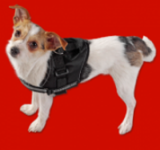 Xtreme Hunde-Geschirr 8.99&nbsp;&euro;