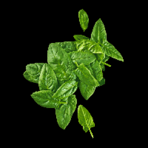 BIO Spinat 1.39 €