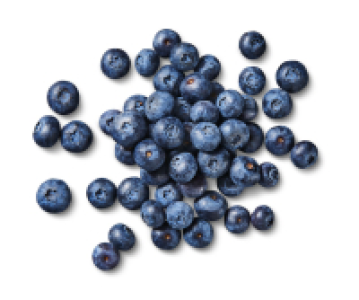 Peruan./südafrik. Kulturheidelbeeren