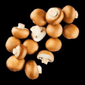 BIO Kulturchampignons braun