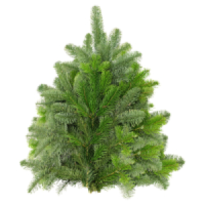 Aldi Süd  GARDENLINE Tannenhandbunde 2.500 g, Nordmann