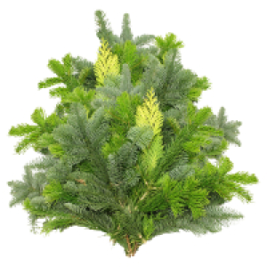 Aldi Süd  GARDENLINE Tannenhandbunde 1.000 g, Mix