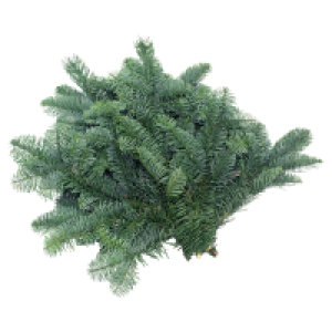 GARDENLINE Tannenhandbunde 550 g, Nobilis