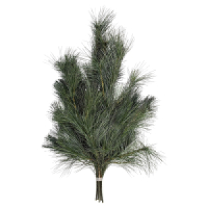 Aldi Süd  GARDENLINE Tannenhandbunde 550 g, Kiefer