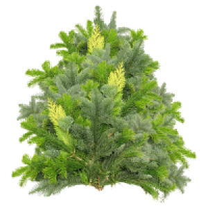 GARDENLINE Tannenhandbunde 2.500 g, Mix