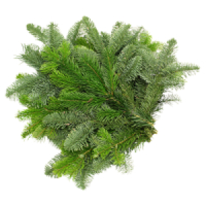 GARDENLINE Tannenhandbunde 550 g, Nordmann