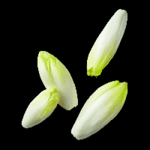 Chicor&eacute;e