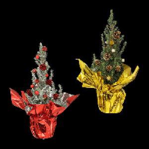 GARDENLINE Zuckerhutfichte